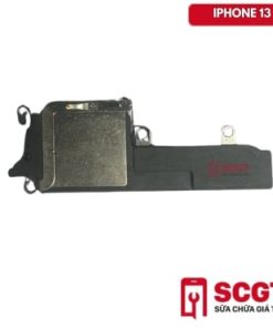 loa-ngoai-ip-13-02