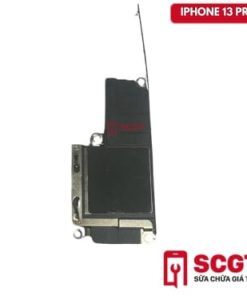 loa-ngoai-ip-13-pro-02