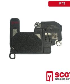 loa-trong-ip-13-02