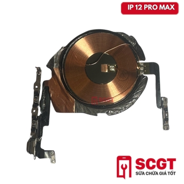 Linh kiện cáp sạc không dây NFC iPhone 12 Pro Max