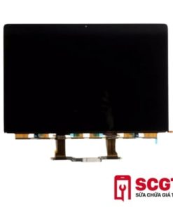 LCD Màn Hình Macbook Pro 2019 13 inch - Model (A2159,A1989)