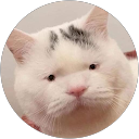 Kiet Nguyen profile picture