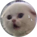 Ly Thảo profile picture